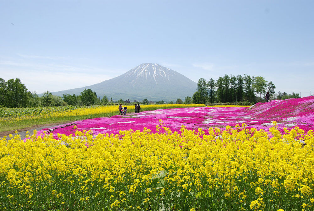 Niseko 2