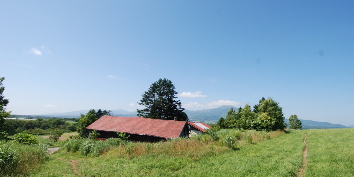 Niseko Miyata 888 | ニセコリアルエステート